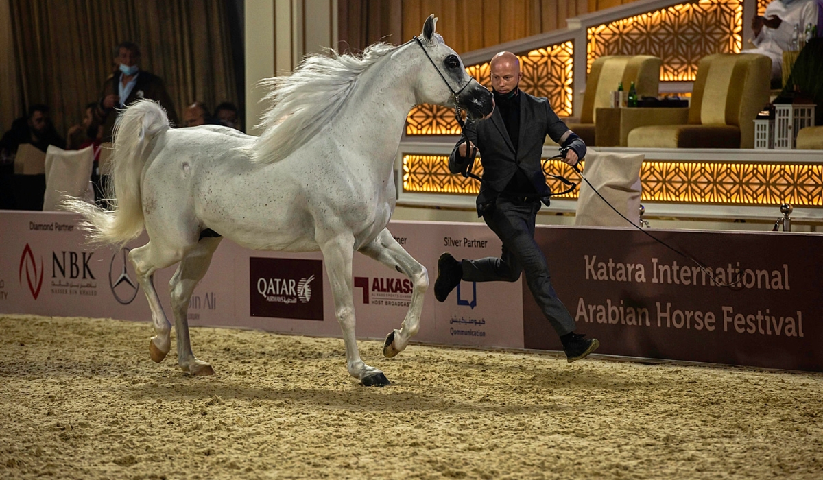 Katara International Arabian Horse Festival